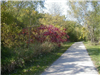 Walnut Creek Trail